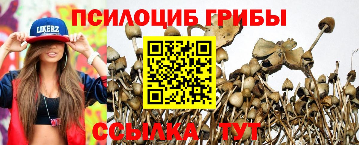 Псилоцибиновые грибы GOLDEN TEACHER  Вход с VPN  Белово 